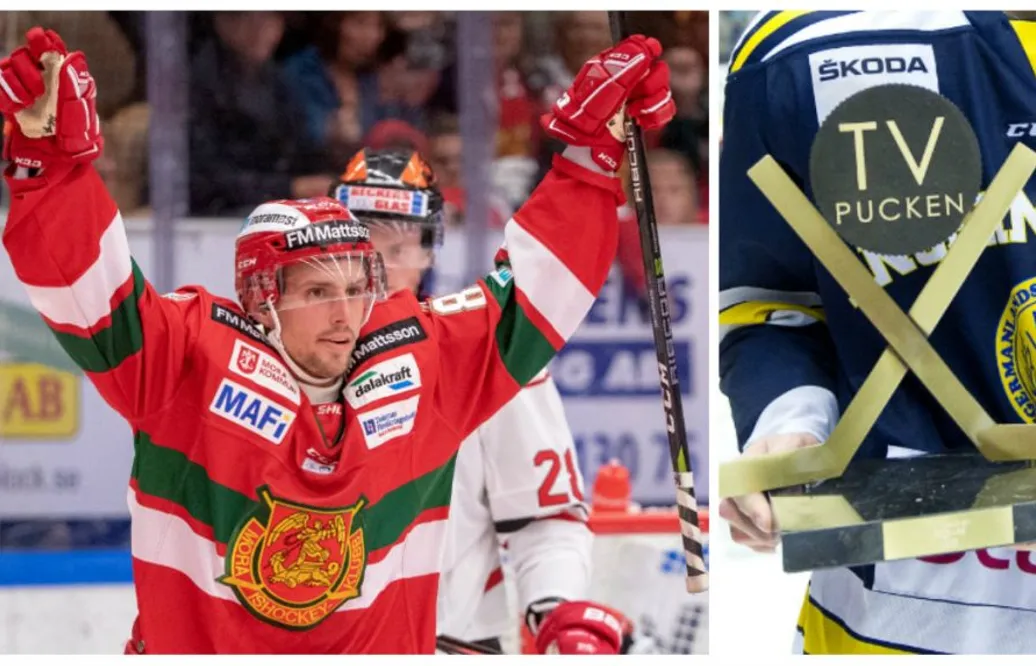 En lång resa till SHL-framgång: ”Det visar ju att TV-pucken inte betydde något alls”