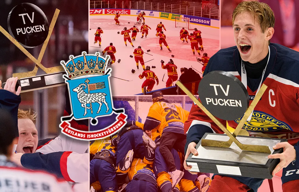 TV-pucken 2023: Gotland – kommentarer om ALLA spelare