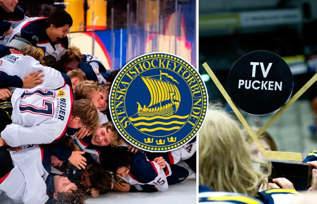 TV-pucken 2022: SIF-laget – kommentarer om ALLA spelare