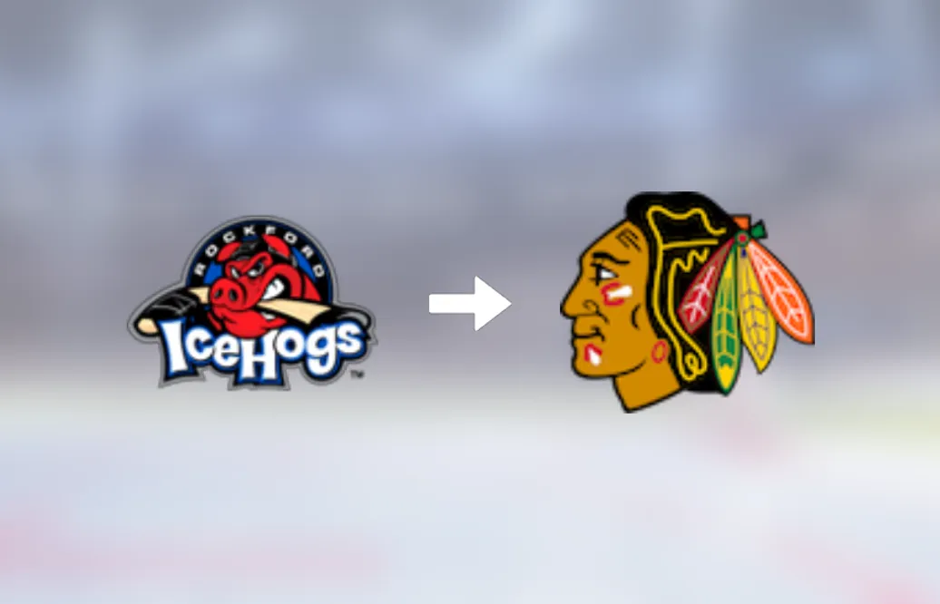 Nu plockas Alec Regula upp till NHL – för spel med Chicago Blackhawks