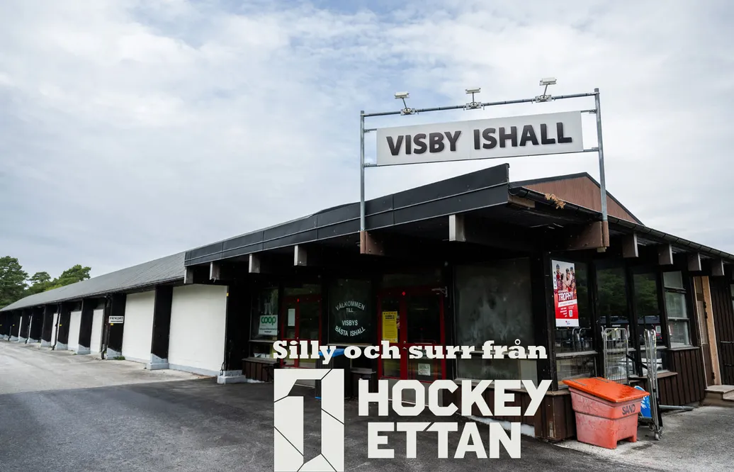 Silly och surr: "Så ska miljonerna användas"
