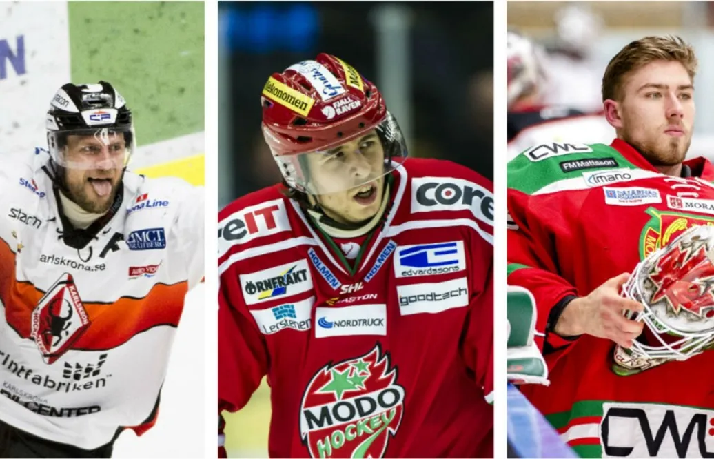 LISTA: Här är de tio bästa nyförvärven i Hockeyallsvenskan