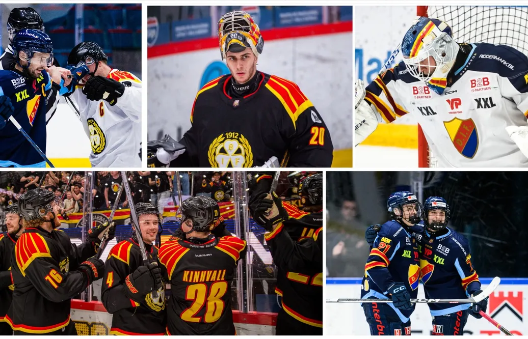 PANELEXTRA: Så går det i den hockeyallsvenska finalen