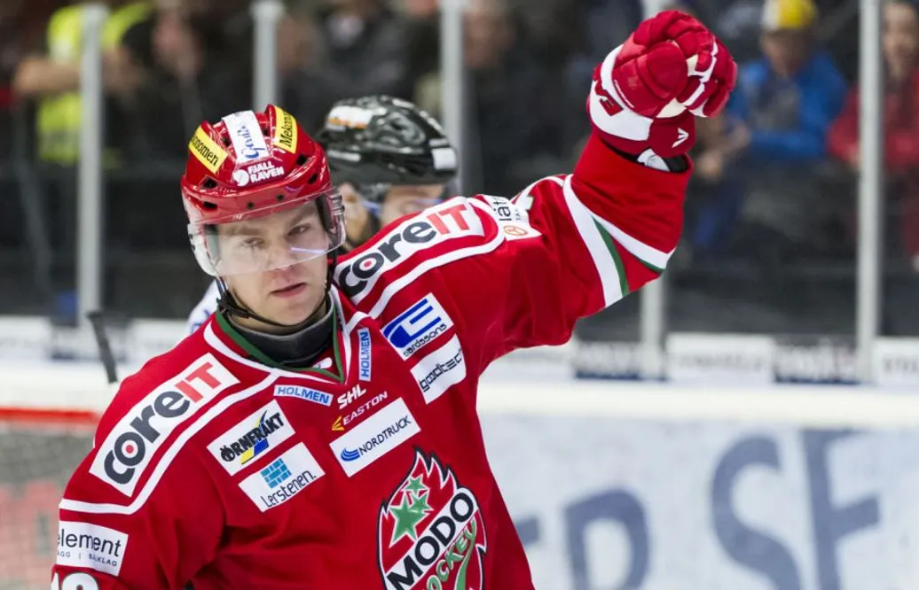 Förre SHL-stjärnan får landslagsjobb