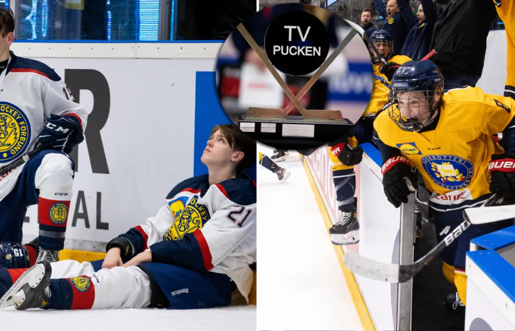 Så gick det i TV-puckens kvalspel – de går vidare till slutspel