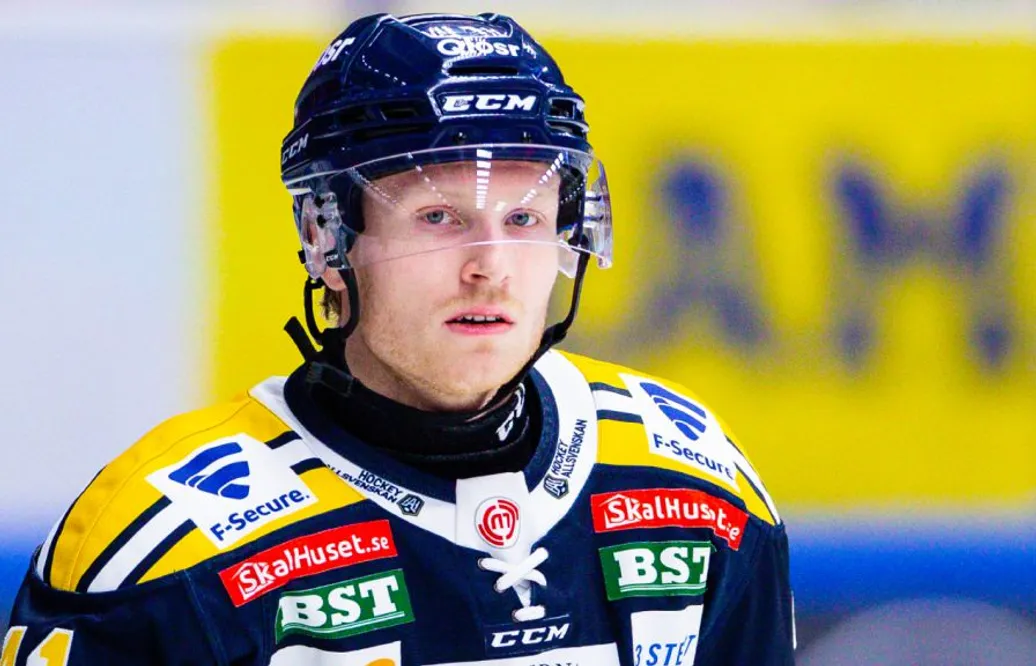 Södertälje släpper SHL-meriterade backen