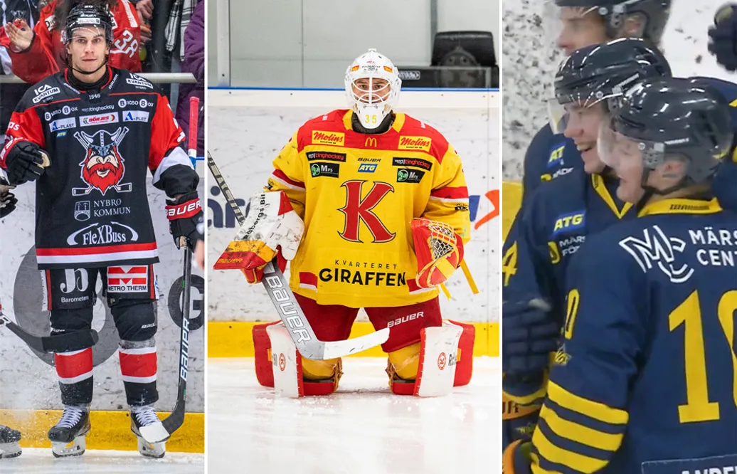 Hockeyettans vinnare och förlorare vid årets deadline