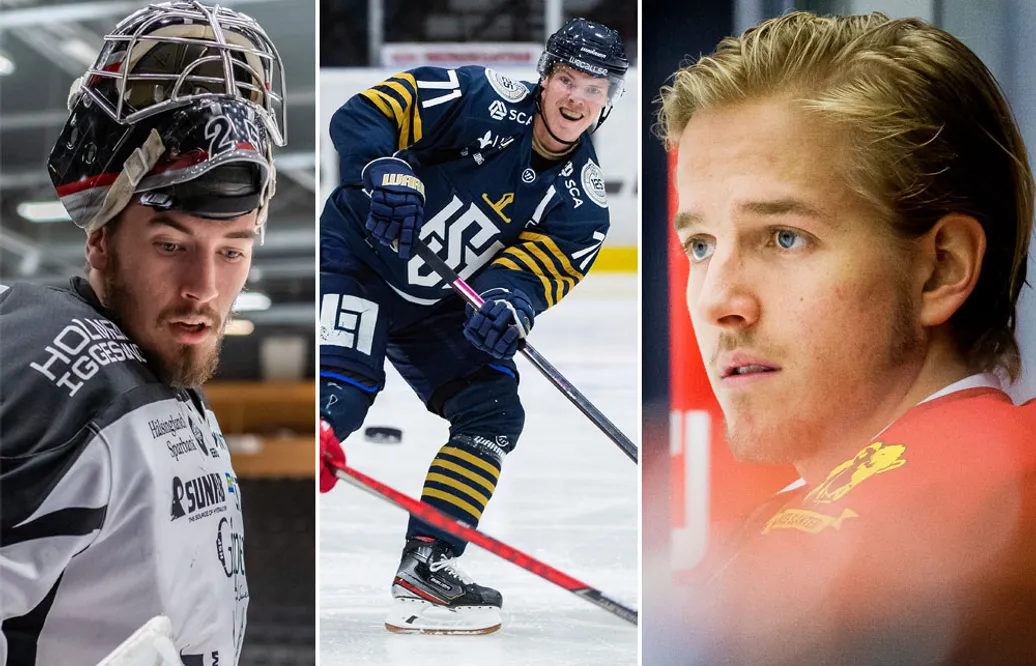 Tio Hockeyettan-spelare som kommer ta revansch 23/24