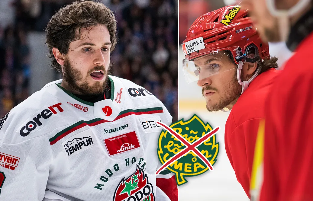 SHL: Halloran avslöjar detaljen vid flytten: "Sa 'snälla, gå inte dit'"