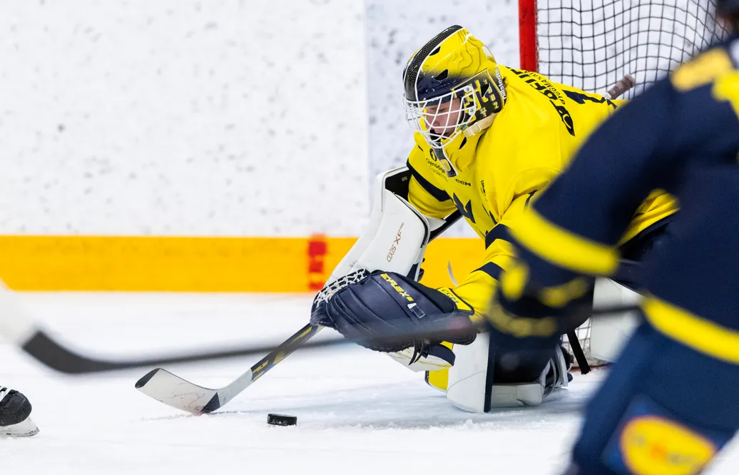Vilmer Salén Forsberg ska spela Hlinka med Sverige.