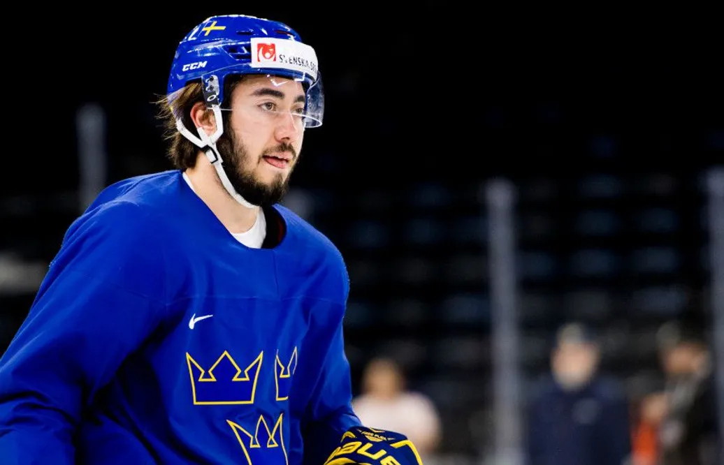 Uppgifter: Zibanejad tackar nej till VM-spel