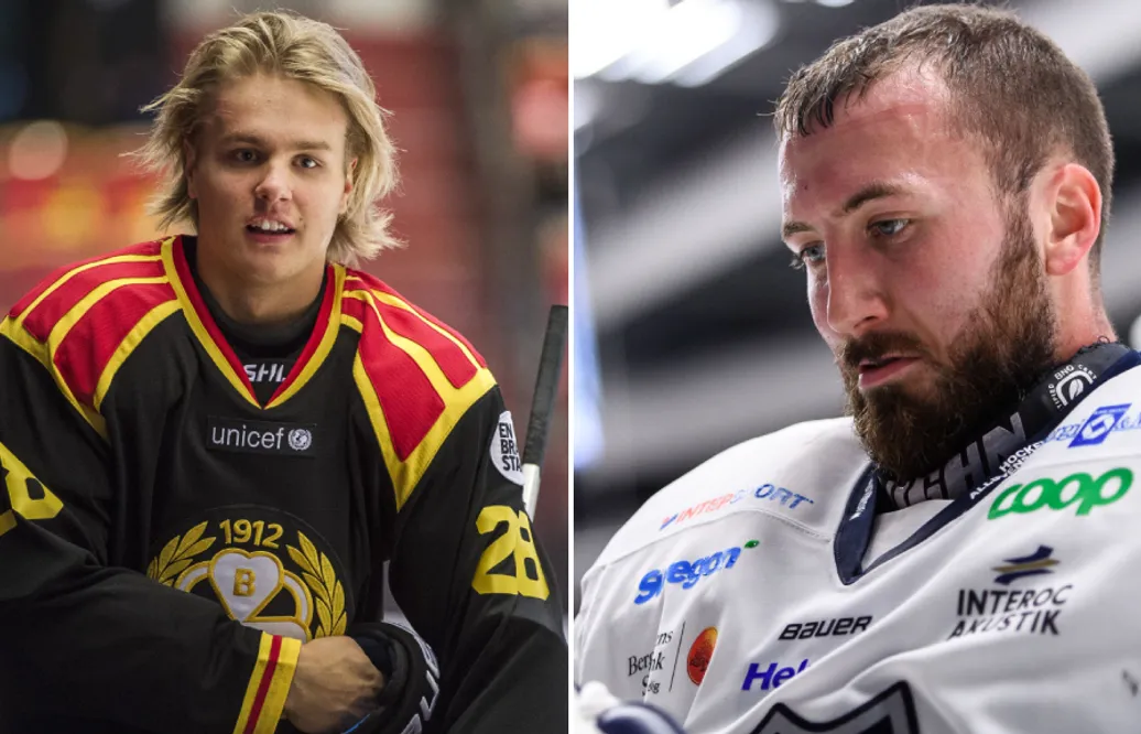 Hampus Eriksson och Stefan Stéen lämnar Vienna Capitals