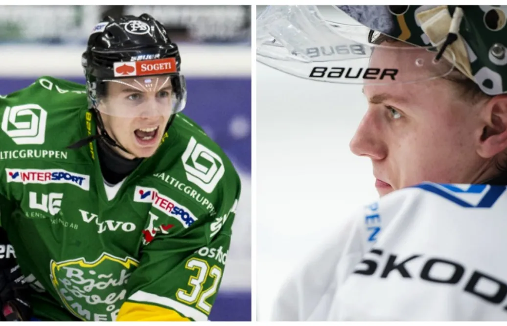 Tar ansvar för boxningsincidenten i Umeå: ”Får ta på mig det som ledare”