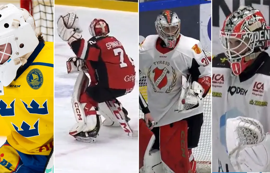 Tio fräscha målvakter på väg mot Hockeyallsvenskan