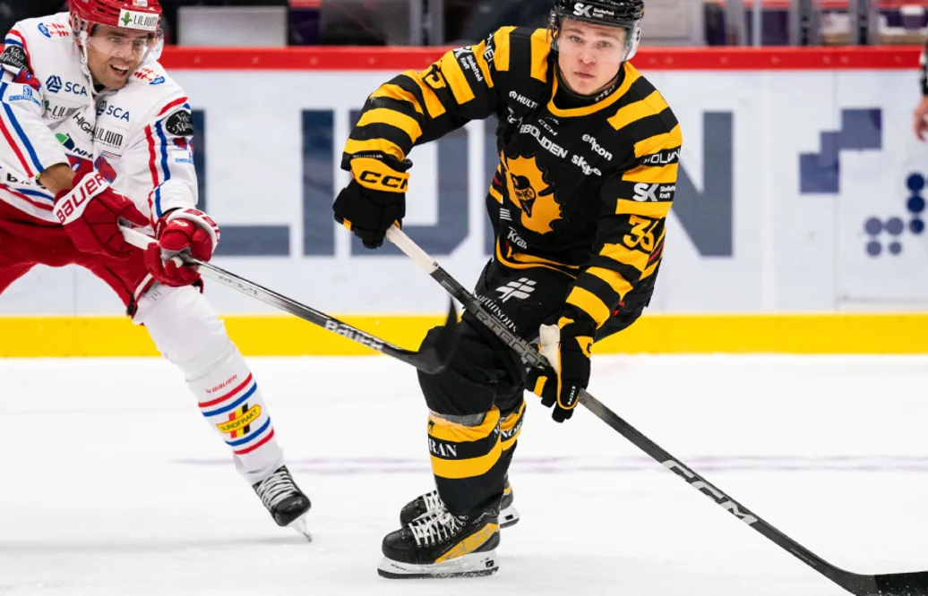 Skellefteå skriver kontrakt med Zeb Forsfjäll: "Sajnade innan matchen"