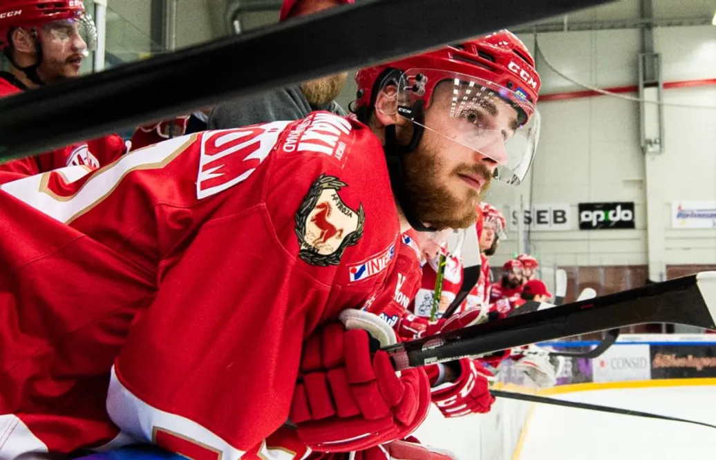 SHL-meriterade forwarden följer med Troja upp