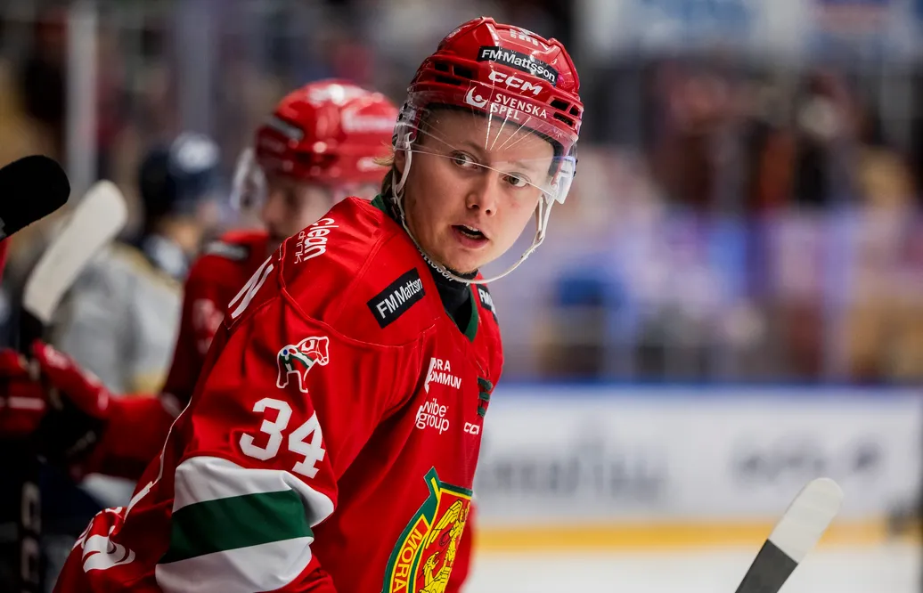 Värvar SHL-meriterad talang: "Gäller att ha tålamod"