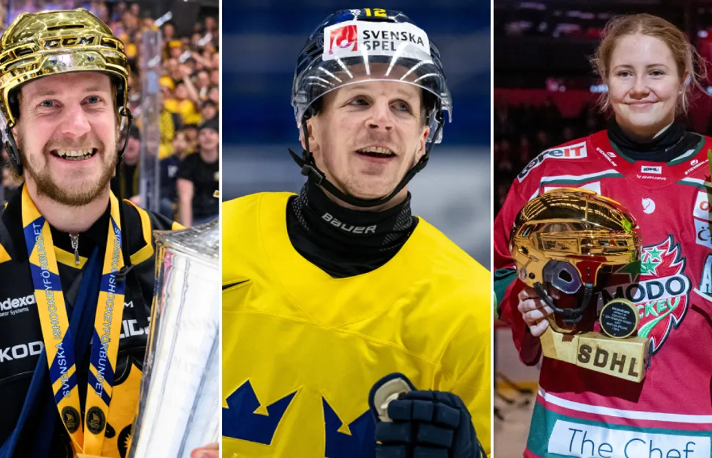 Här är spelarna som tar plats i säsongens All Star-lag