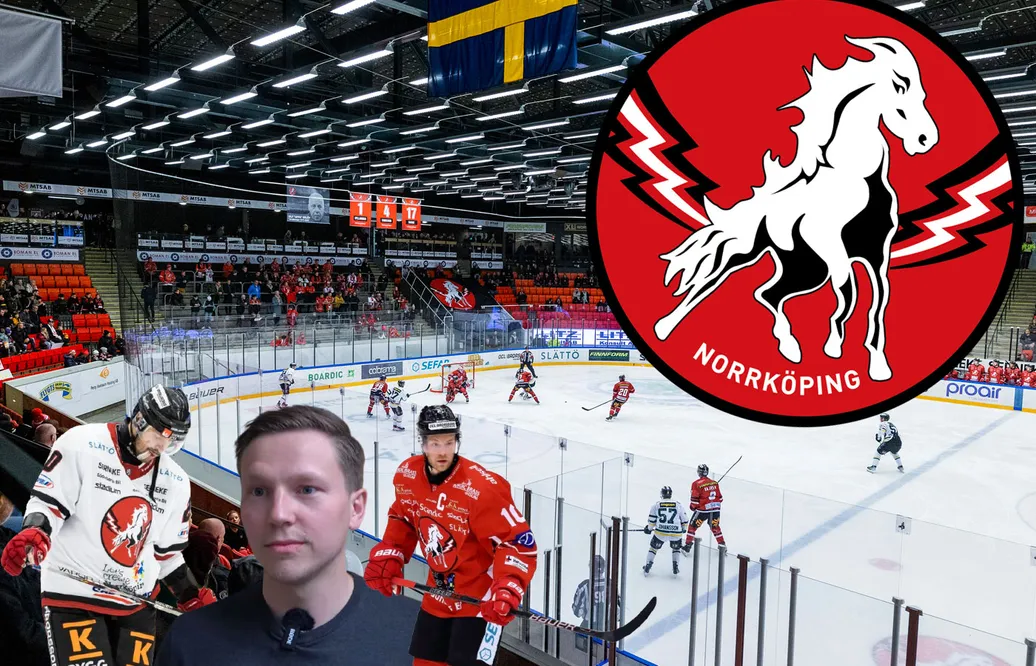 Haveriutredningen: Vita Hästen – därför blev det fiasko