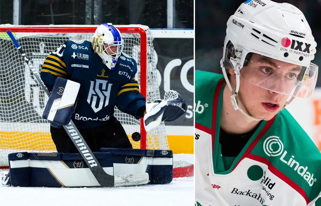 Annorlunda inslag i ligan – sex spännande importspelare i Hockeyettan