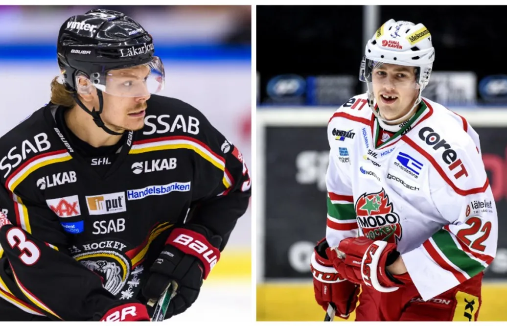 Uppgifter: Almtuna värvar SHL-backar