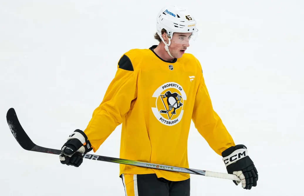 Kanada kan få loss NHL-backen till JVM