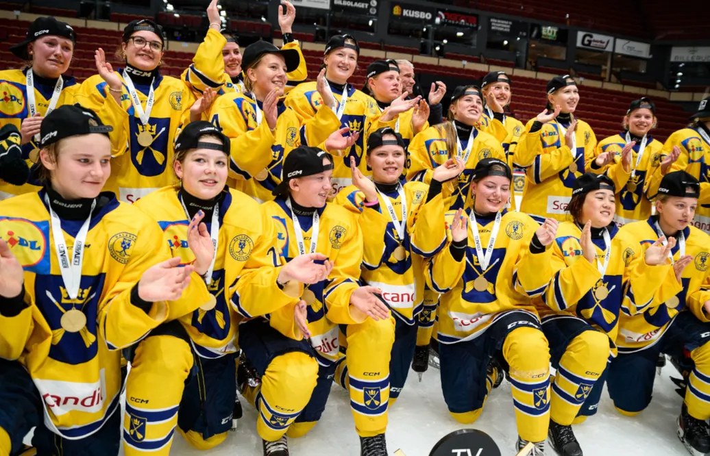 Dalarna – TV-pucken 2023: Kommentarer om ALLA spelare