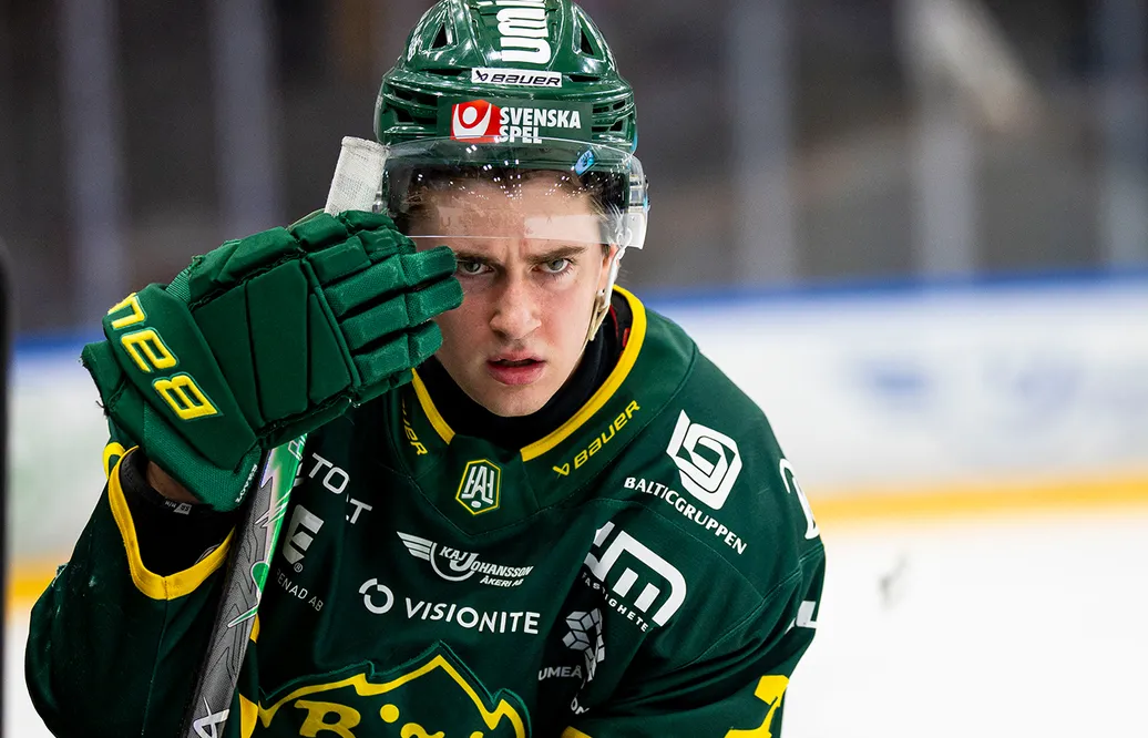 Succébacken petas av Björklöven