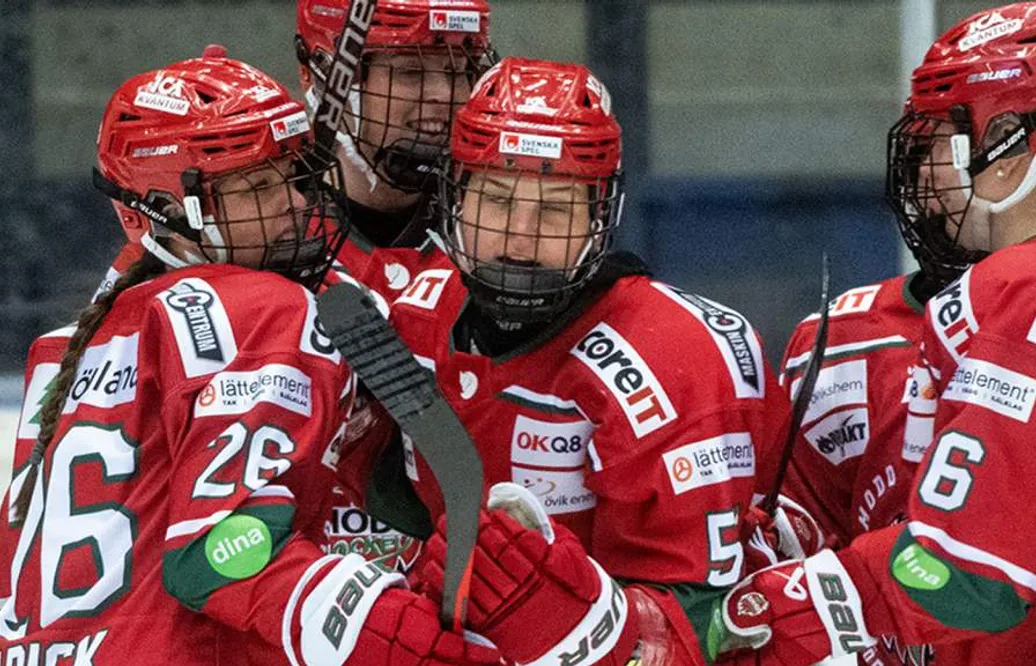 Ryck i sista perioden avgjorde för Modo hemma mot SDE