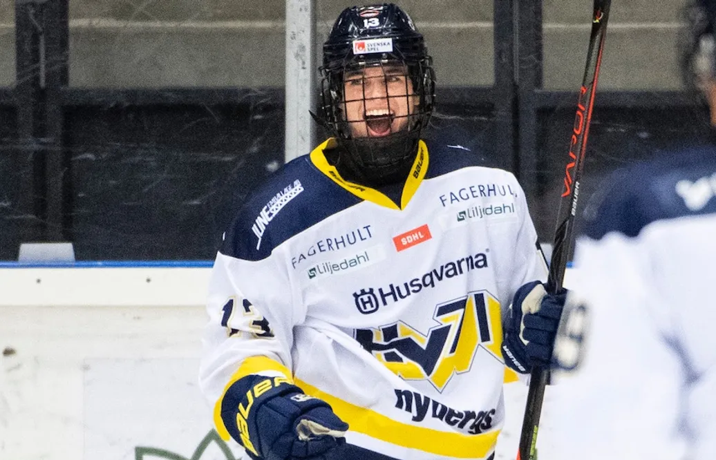 HV 71 höll nollan och tog stark seger mot SDE