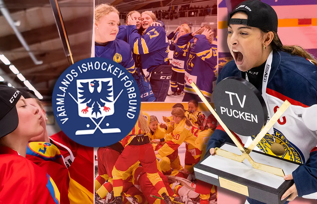 Värmland – TV-pucken 2023: Kommentarer om ALLA spelare