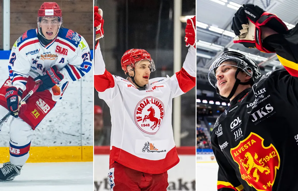 LAG för LAG: Hockeyettan södra vår
