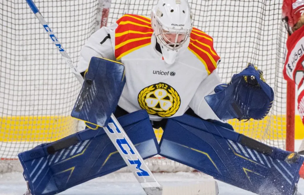 Klart: Landslagsmålvakten förlänger med Brynäs