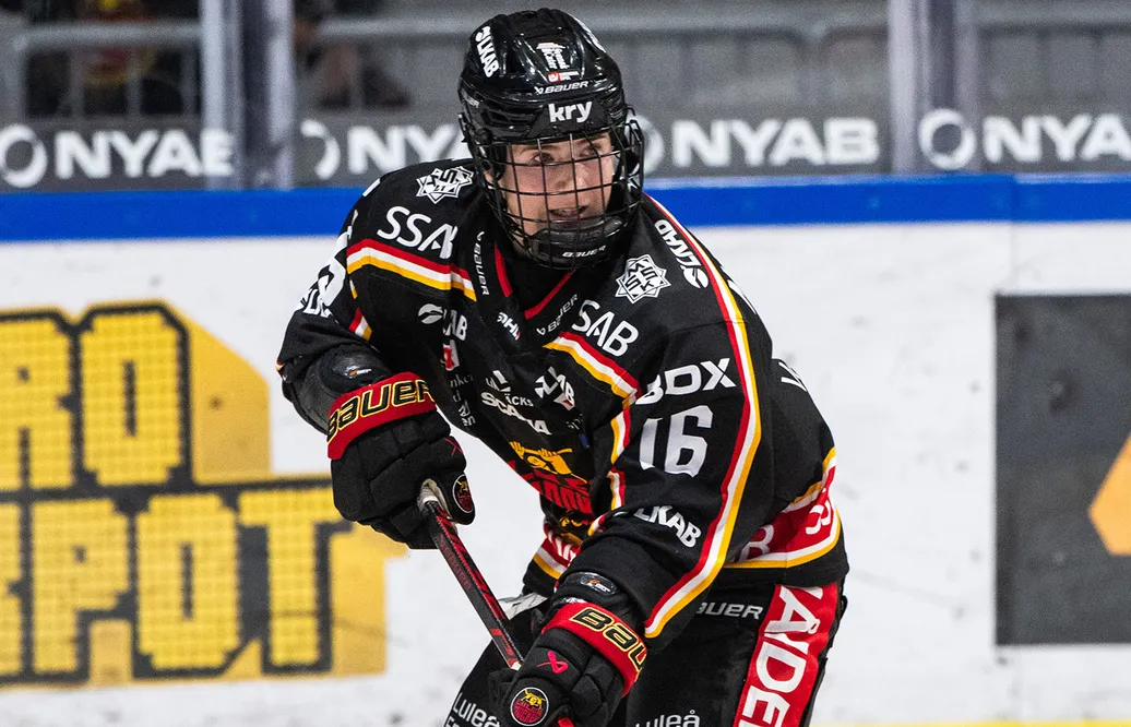 HV 71 en lätt match för Luleå