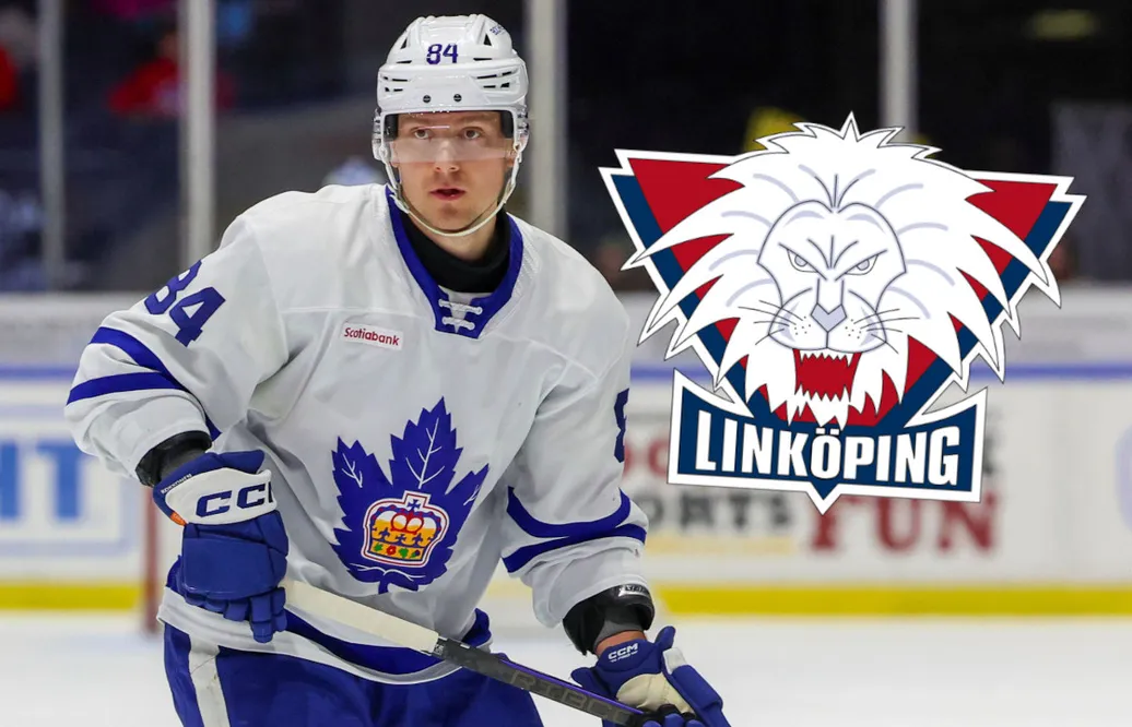 LHC agerar – värvar AHL-back