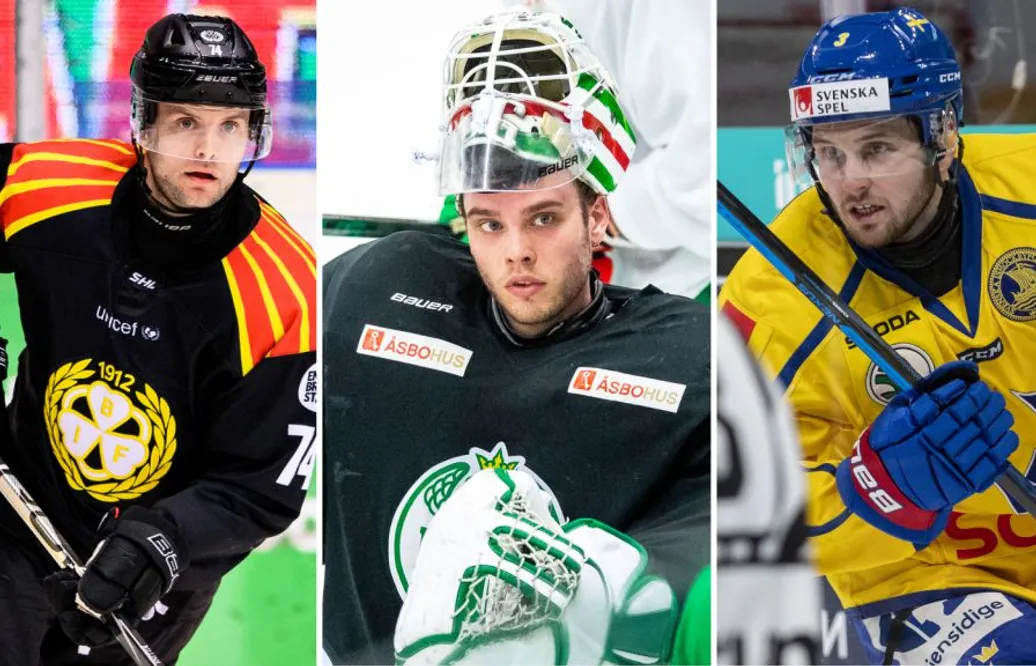 Sammanställning: Så har de 14 allsvenska lagen värvat