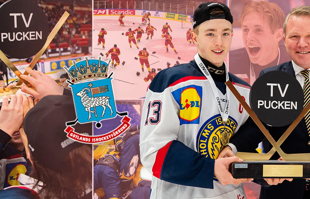 TV-pucken 2024: Gotland – kommentarer om ALLA spelare