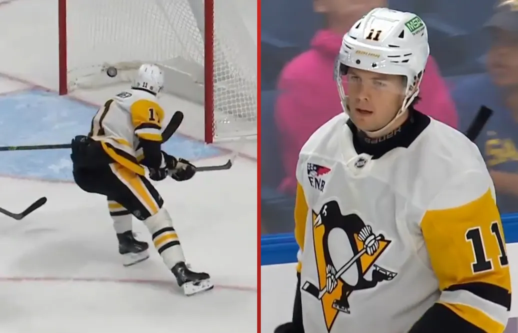 Succén: Hållander toppar NHL-lagets poängliga