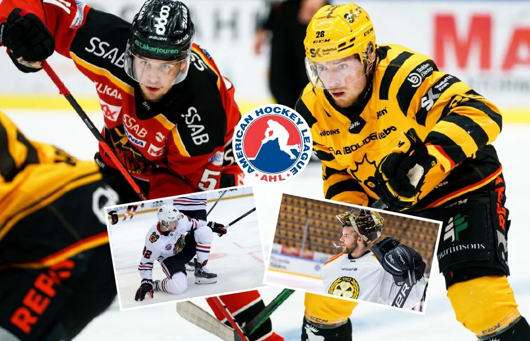 KARLSSON: Så stor NHL-chans har AHL-svenskarna