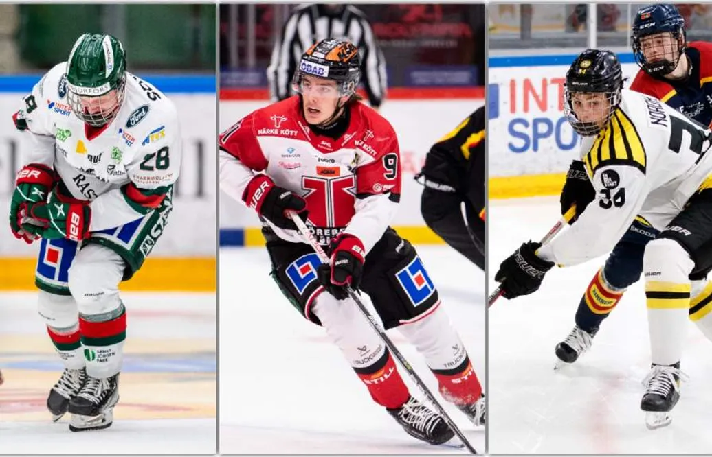 Tre svenskar i förstarundan i nya draftrankingen
