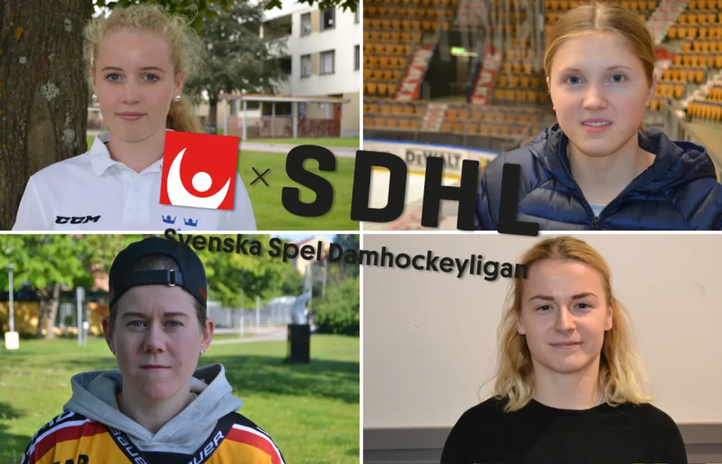 SDHL Silly med Mats Bekkevold – Exporterna som kan vara landslagsaktuella
