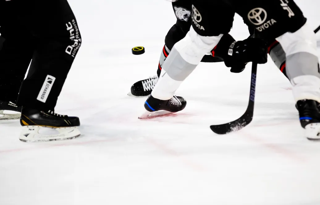 SHL säsongen 2023/2024 favoriter – de vinner enligt odds