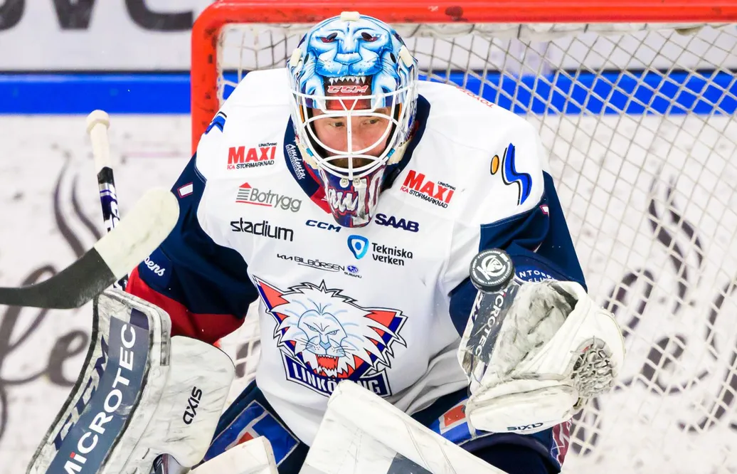 Uppgifter: David Rautio på väg tillbaka till Luleå