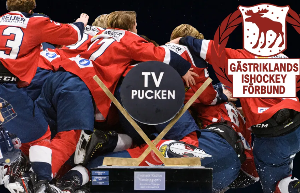 Inför TV-pucken 2021: Gästrikland - kommentarer om alla spelare