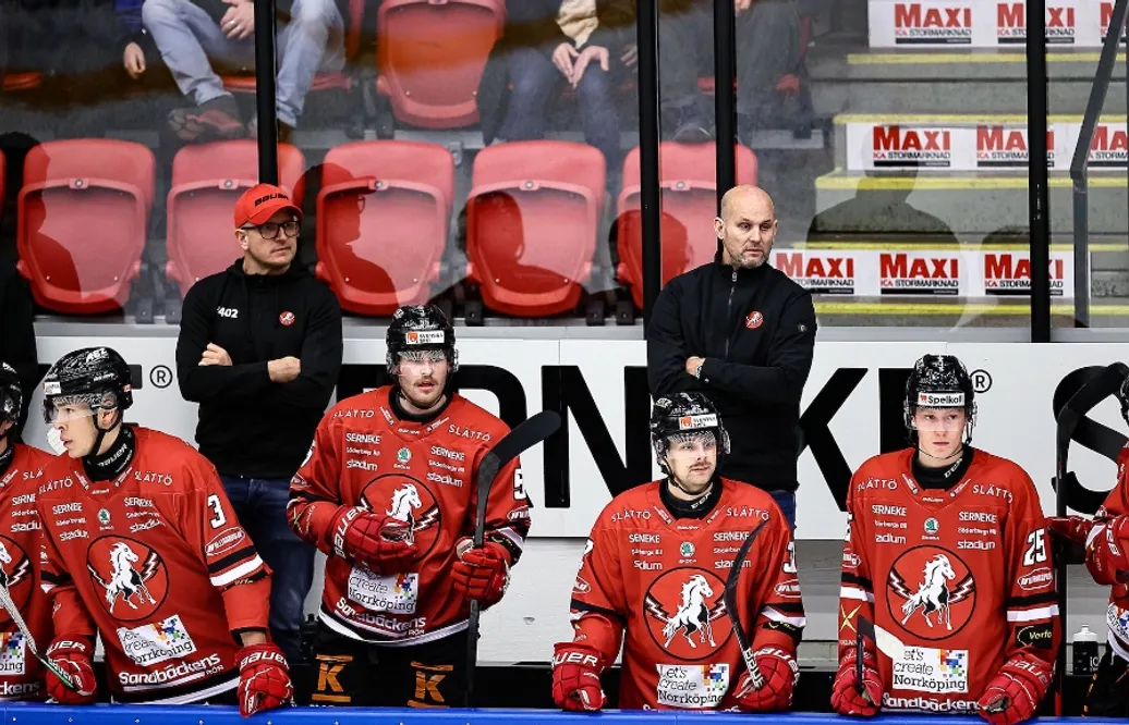 Kort om spelare – Vita Hästen lånar in