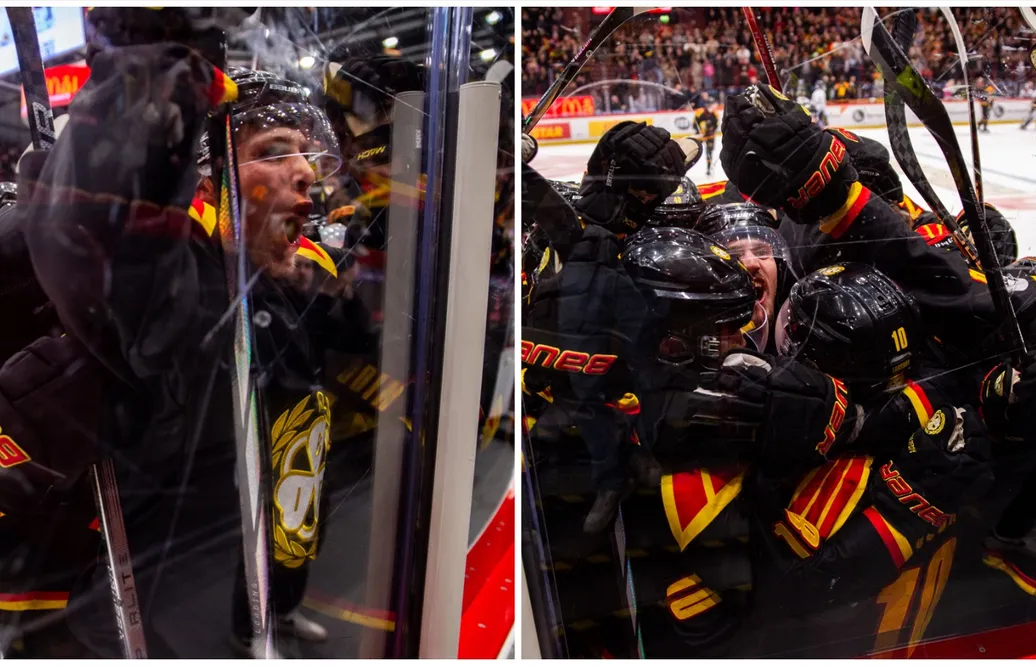 Måns Karlsson om Brynäs avancemang: Vansinnigt imponerande - pratas för lite om det