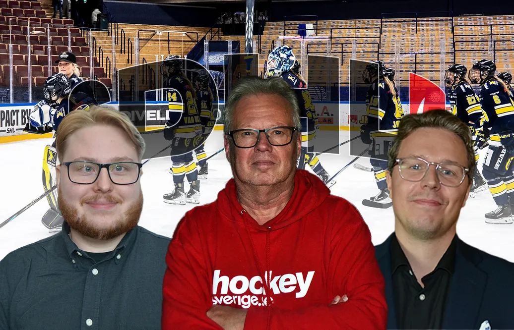 SDHL-panelen: De riskerar att få kvala