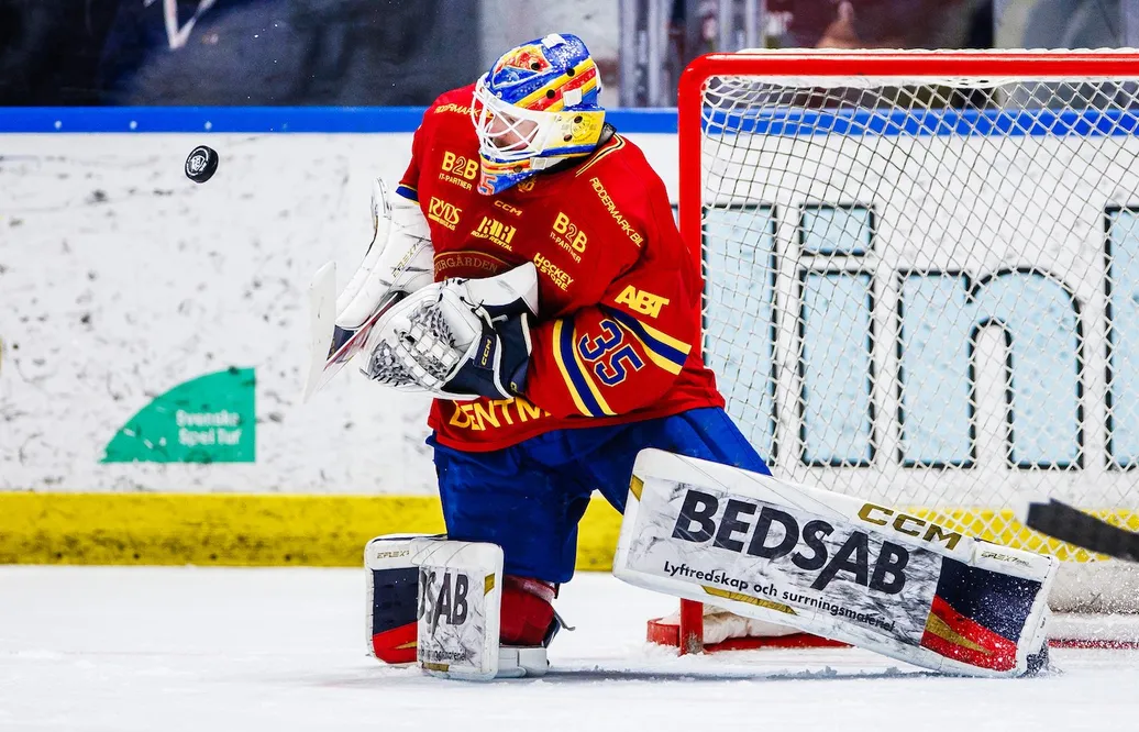 Han prisas som Årets Målvakt i SHL