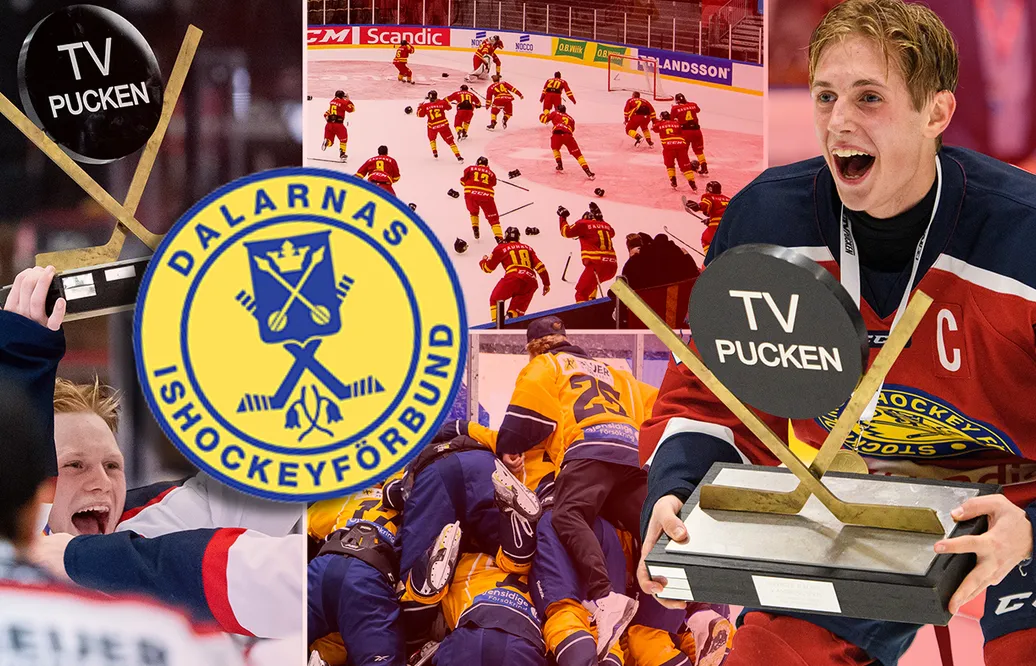 TV-pucken 2023: Dalarna – kommentarer om ALLA spelare