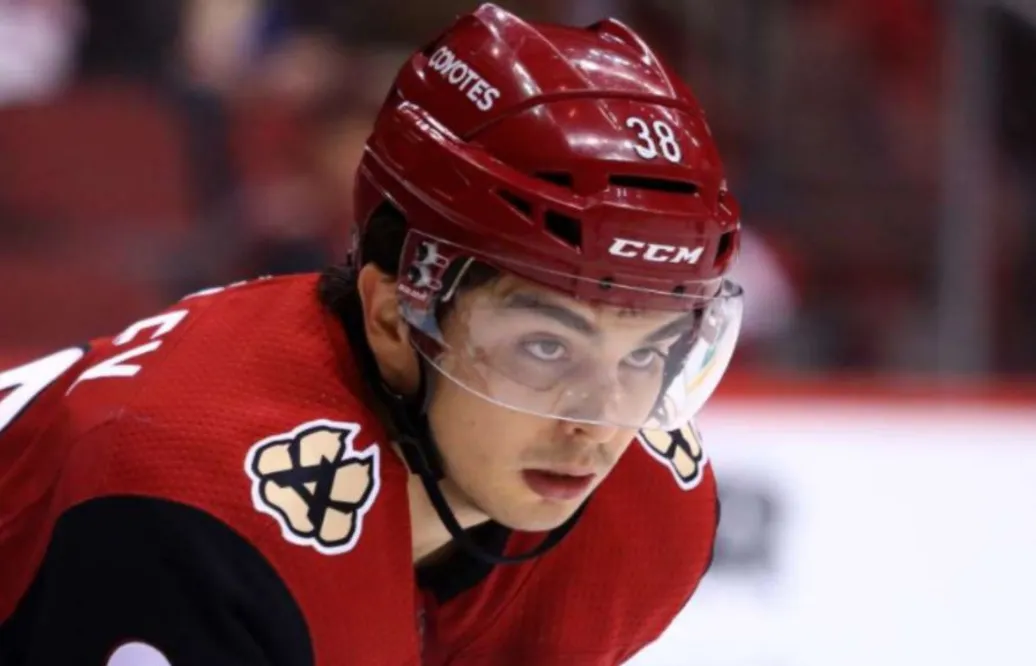 Tidigare stortalangen lämnar NHL – flyttar till Europa
